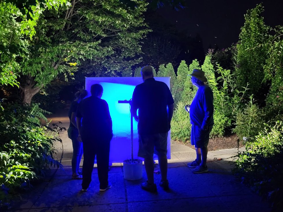 A station set up to view moths at night.